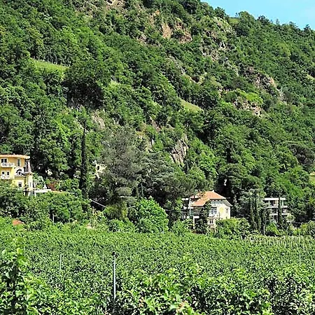 Sasso 4*